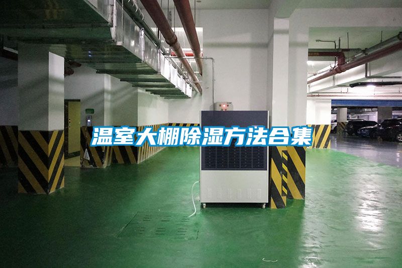 溫室大棚91看片在线下载方法合集
