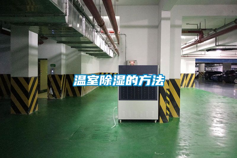 溫室91看片在线下载的方法