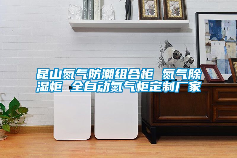 昆山氮氣防潮組合櫃 氮氣91看片在线下载櫃 全自動氮氣櫃定製廠家