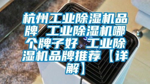杭州工業91看片在线下载機品牌 工業91看片在线下载機哪個牌子好 工業91看片在线下载機品牌推薦【詳解】