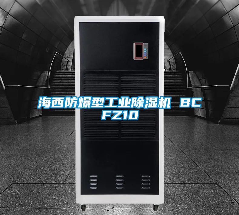 海西防爆型工業91看片在线下载機 BCFZ10