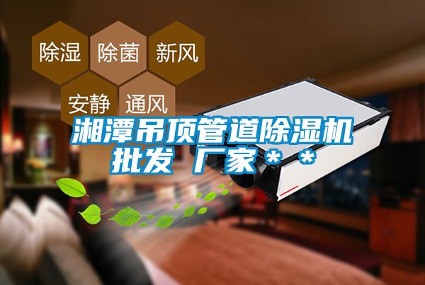 湘潭吊頂管道91看片在线下载機批發 廠家＊＊