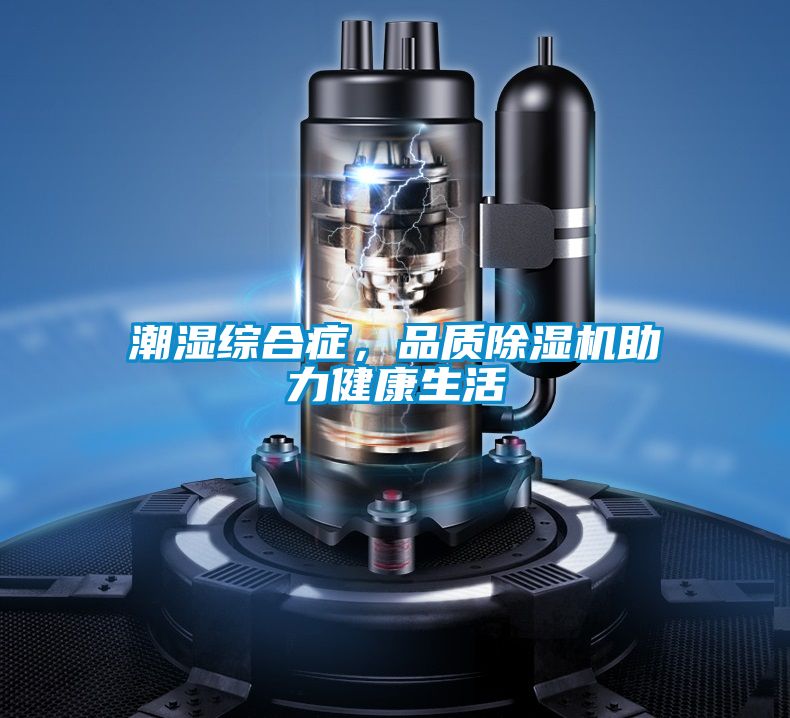 潮濕綜合症，品質91看片在线下载機助力健康生活