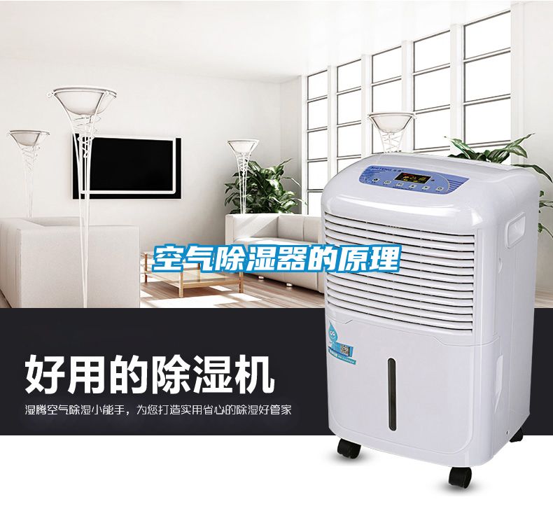 空氣91看片在线下载器的原理