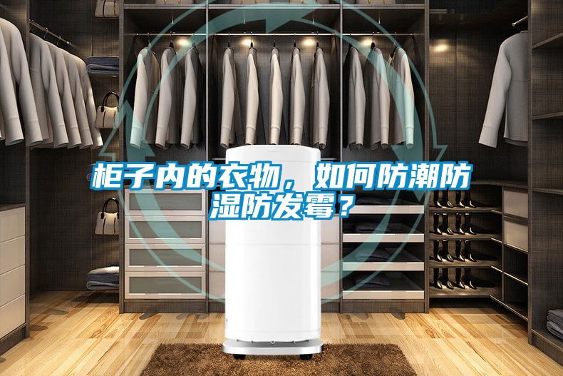 櫃子內的衣物，如何防潮防濕防發黴？