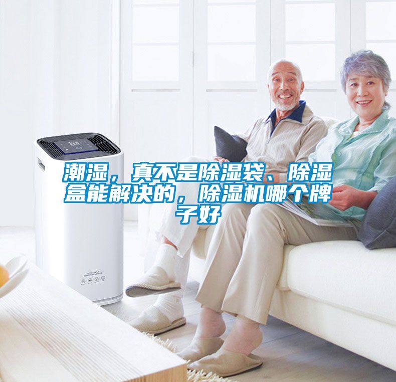 潮濕，真不是91看片在线下载袋、91看片在线下载盒能解決的，91看片在线下载機哪個牌子好