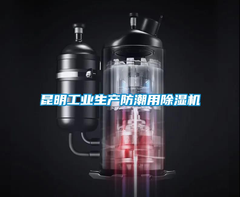 昆明工業生產防潮用91看片在线下载機