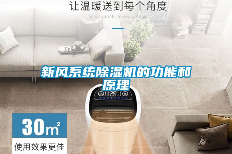 新風係統91看片在线下载機的功能和原理