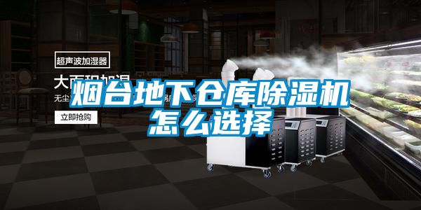 煙台地下倉庫91看片在线下载機怎麽選擇