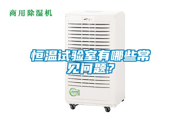 恒溫試驗室有哪些常見問題？