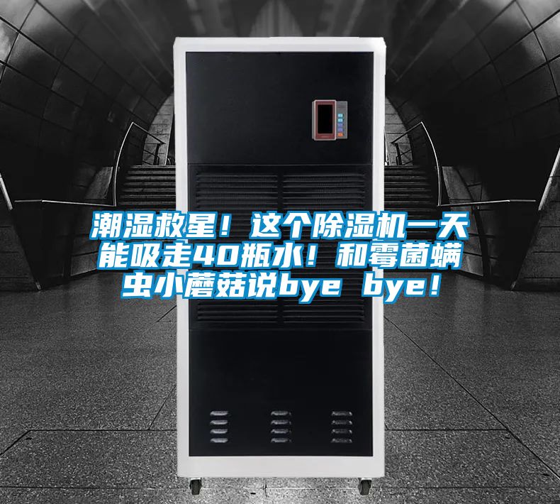 潮濕救星！這個91看片在线下载機一天能吸走40瓶水！和黴菌蟎蟲小蘑菇說bye bye！