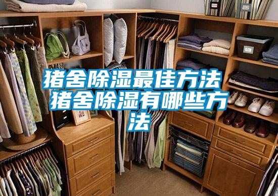豬舍91看片在线下载最佳方法 豬舍91看片在线下载有哪些方法