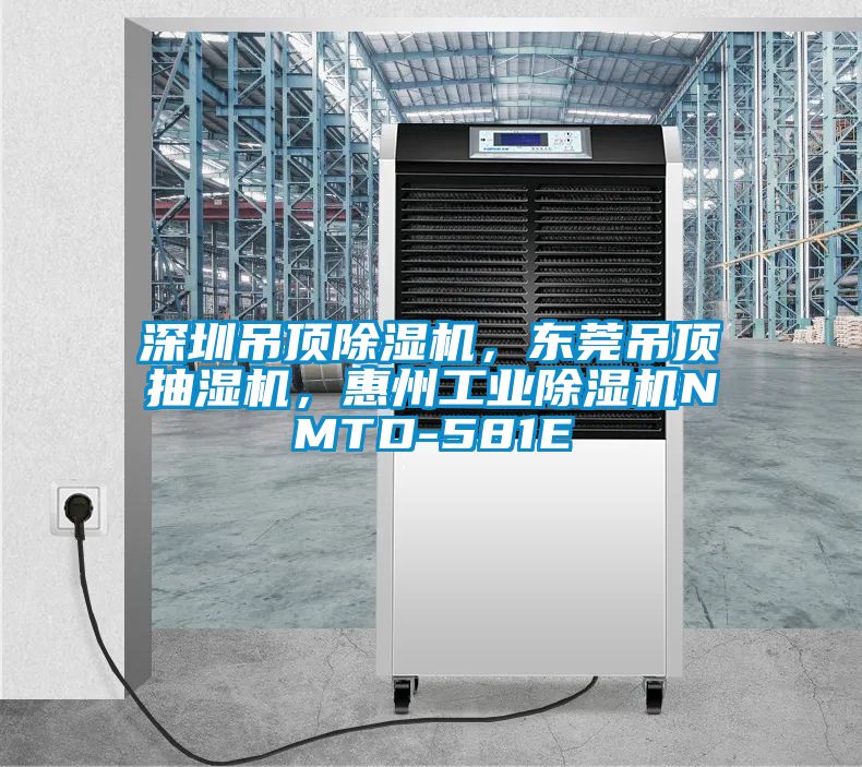 深圳吊頂91看片在线下载機，東莞吊頂抽濕機，惠州工業91看片在线下载機NMTD-581E
