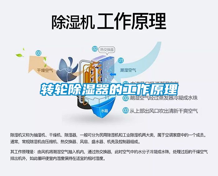 轉輪91看片在线下载器的工作原理