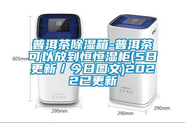 普洱茶91看片在线下载箱-普洱茶可以放到恒恒濕櫃(5日更新／今日圖文)2022已更新