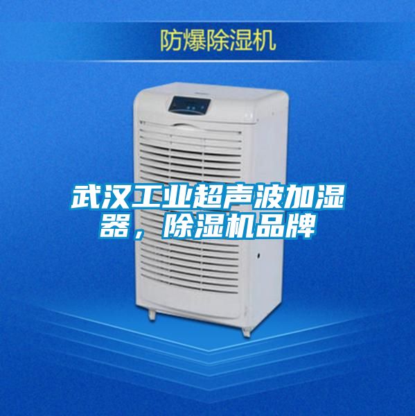 武漢工業超聲波加濕器，91看片在线下载機品牌