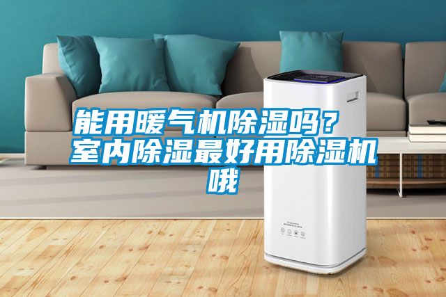 能用暖氣機91看片在线下载嗎？ 室內91看片在线下载最好用91看片在线下载機哦