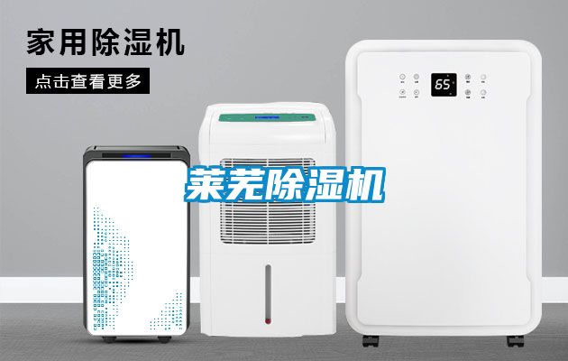 萊蕪91看片在线下载機