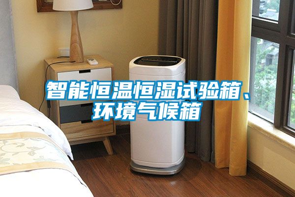 智能恒溫恒濕試驗箱、環境氣候箱