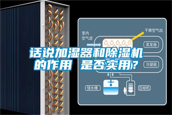 話說加濕器和91看片在线下载機的作用 是否實用？