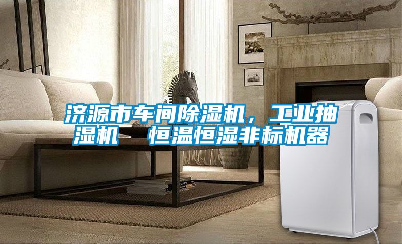 濟源市車間91看片在线下载機，工業抽濕機  恒溫恒濕非標機器