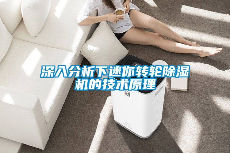 深入分析下迷你轉輪91看片在线下载機的技術原理