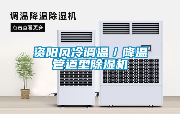資陽風冷調溫／降溫管道型91看片在线下载機
