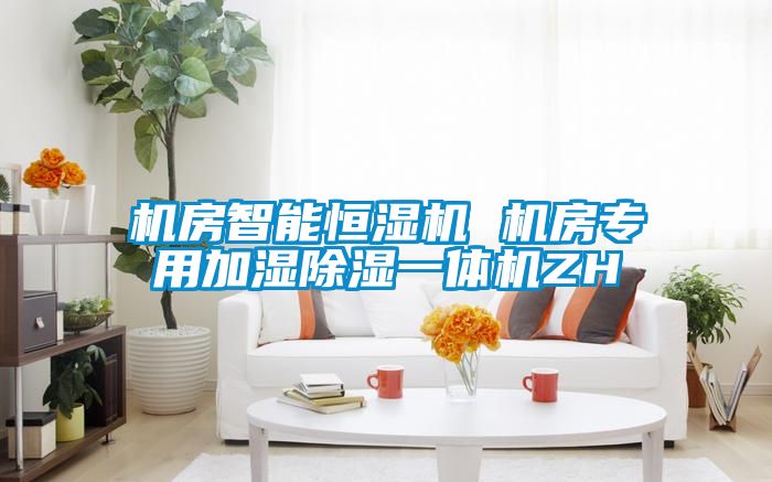 機房智能恒濕機 機房專用加濕91看片在线下载一體機ZH