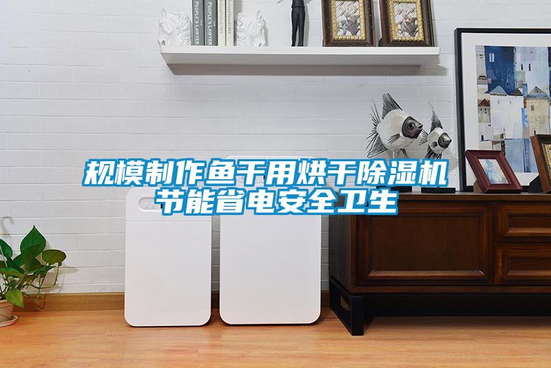 規模製作魚幹用烘幹91看片在线下载機 節能省電安全衛生