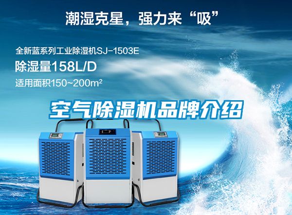 空氣91看片在线下载機品牌介紹