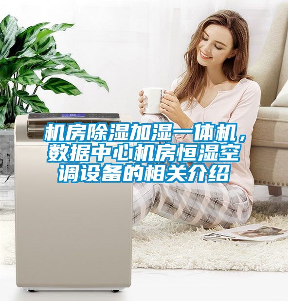 機房91看片在线下载加濕一體機，數據中心機房恒濕空調設備的相關介紹