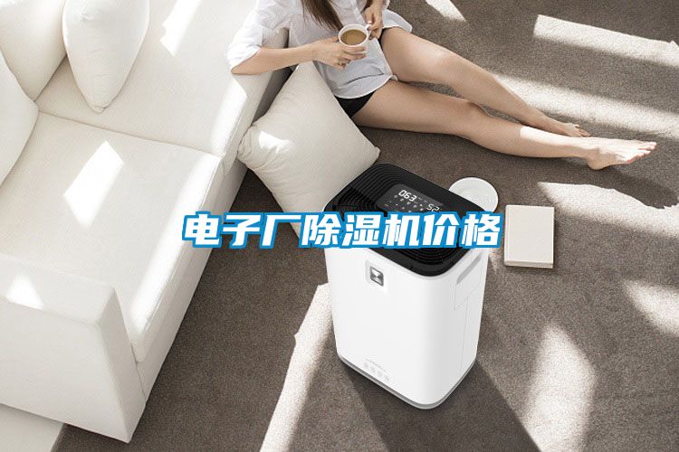電子廠91看片在线下载機價格