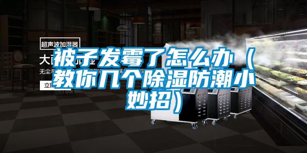 被子發黴了怎麽辦（教你幾個91看片在线下载防潮小妙招）