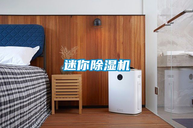 迷你91看片在线下载機