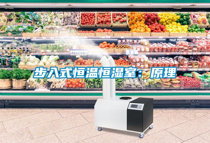步入式恒溫恒濕室：原理