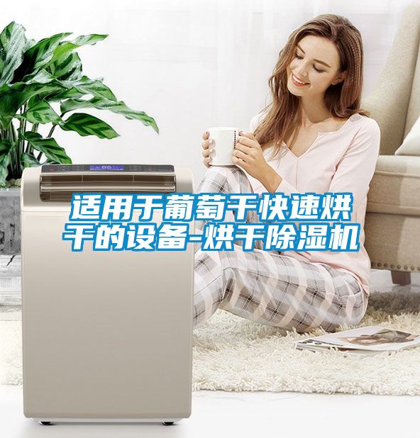 適用於葡萄幹快速烘幹的設備-烘幹91看片在线下载機