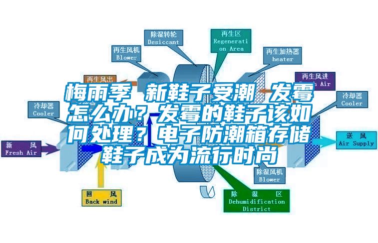 梅雨季 新鞋子受潮 發黴怎麽辦？發黴的鞋子該如何處理？電子防潮箱存儲鞋子成為流行時尚