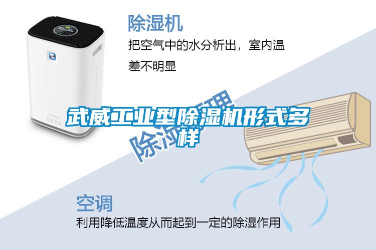 武威工業型91看片在线下载機形式多樣