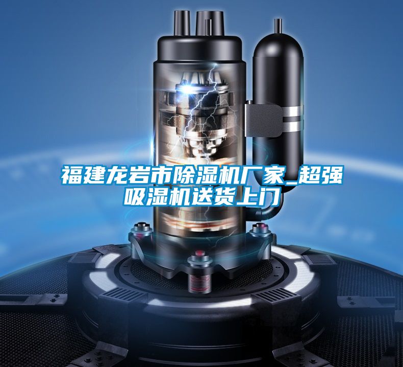 福建龍岩市91看片在线下载機廠家_超強吸濕機送貨上門
