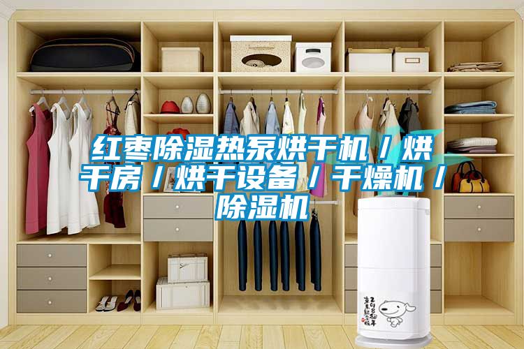 紅棗91看片在线下载熱泵烘幹機／烘幹房／烘幹設備／幹燥機／91看片在线下载機