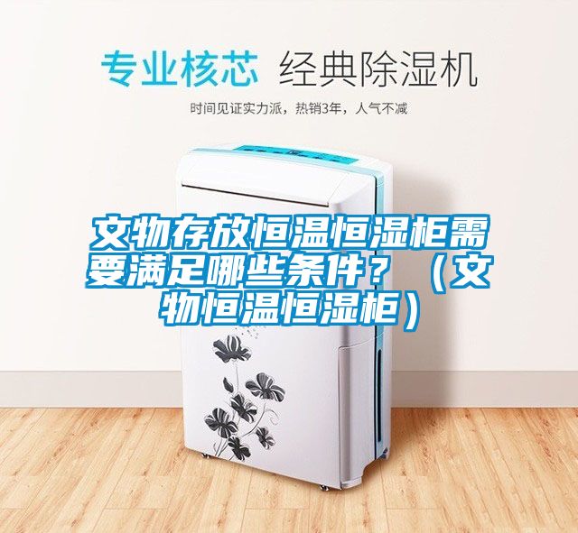 文物存放恒溫恒濕櫃需要滿足哪些條件？（文物恒溫恒濕櫃）