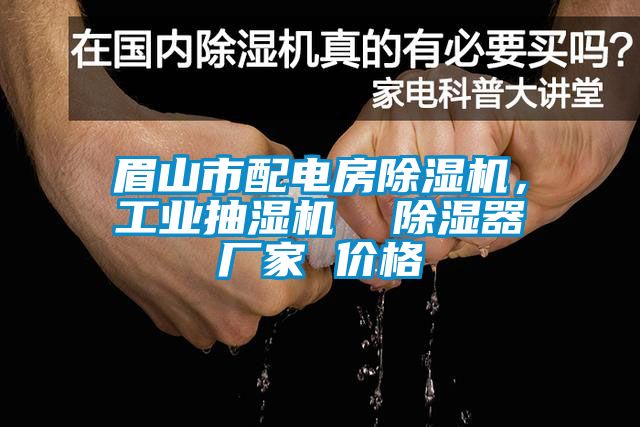 眉山市配電房91看片在线下载機，工業抽濕機  91看片在线下载器廠家 價格