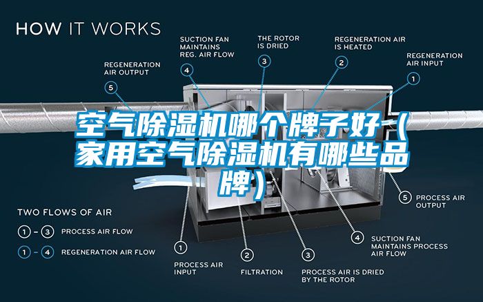 空氣91看片在线下载機哪個牌子好（家用空氣91看片在线下载機有哪些品牌）