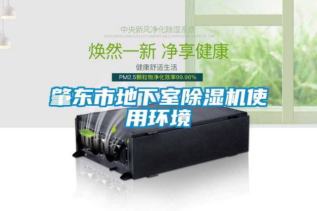 肇東市地下室91看片在线下载機使用環境
