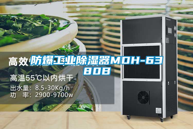 防爆工業91看片在线下载器MDH-6380B