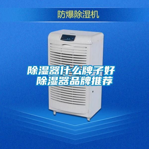 91看片在线下载器什麽牌子好 91看片在线下载器品牌推薦