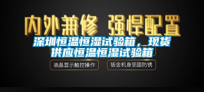 深圳恒溫恒濕試驗箱，現貨供應恒溫恒濕試驗箱