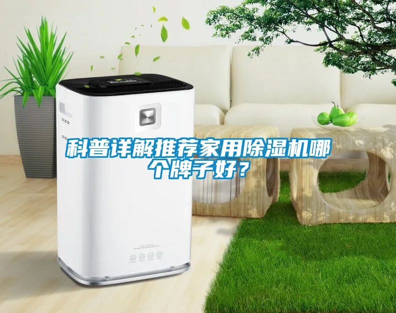 科普詳解推薦家用91看片在线下载機哪個牌子好？