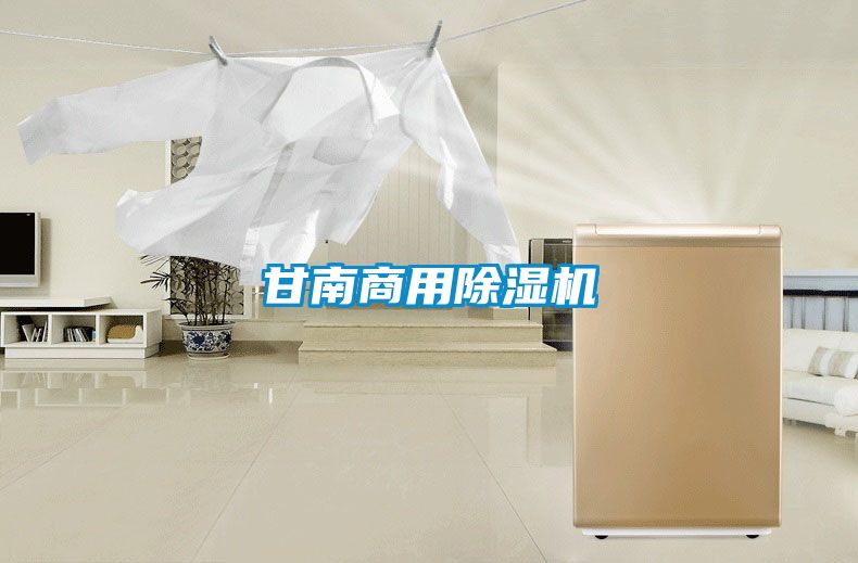甘南商用91看片在线下载機