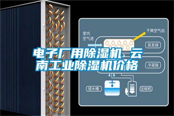 電子廠用91看片在线下载機 雲南工業91看片在线下载機價格